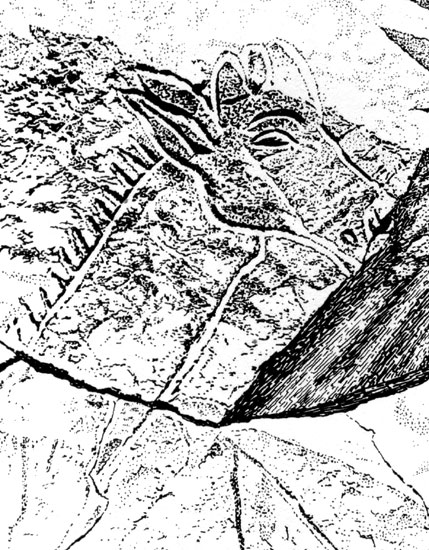 ���. 7. ������ ������ (��������). ���������. �������, ������, �����