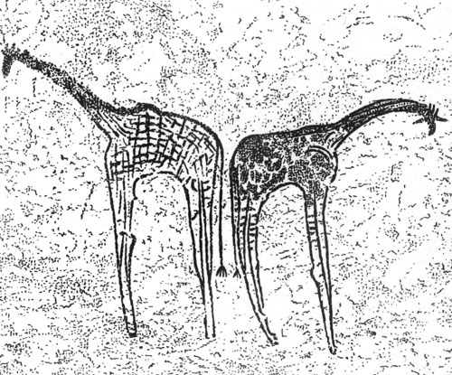 ���. 15. ������. ��������. ��������