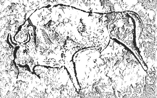 ���. 80. �����. ��������� (����������� ������). �������. �� ����, �������