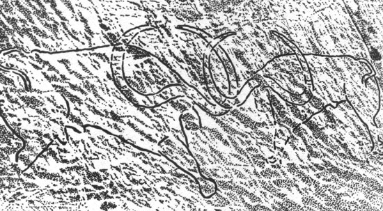 ���. 81. ��������� �������. ��������� (I ������, 1 ������). ����� �����, ��������� �����