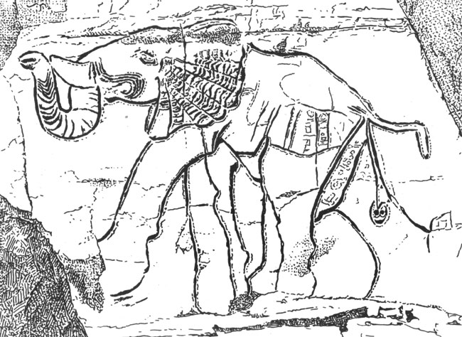 ���. 82. ����. ��������� (I ������, 1 ������). �� ��������, ������