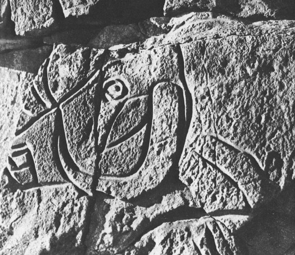 29 ,   . -, 1962 . . , 