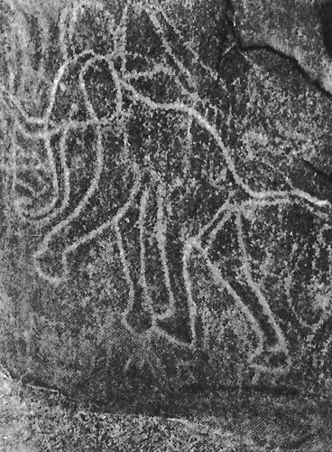 56 ����. ���������. �����, �����-������