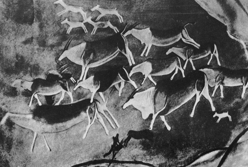 61 ��������. ��������. ����� ������