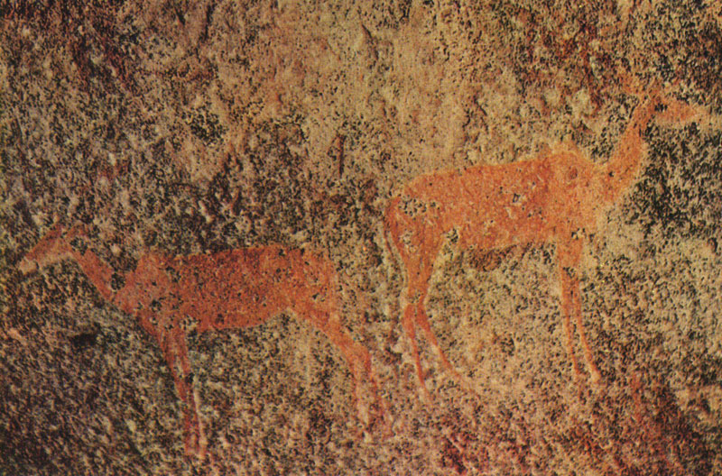 62 ��������. ��������. ������ ��������, ��������