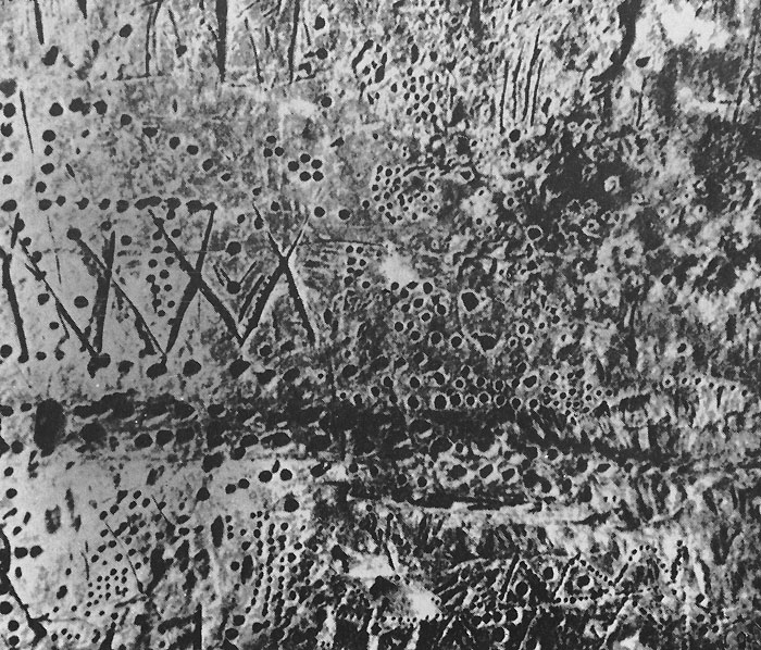 65 �������������� �����������. ��������. ����� ������, ��������-������