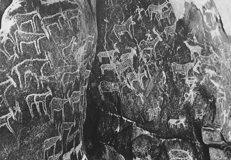 67 ��������, ����. ����������. ������ ����, ����, ���