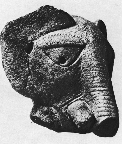 71 ������ �����. ���������. �������� ���, �������. �����, �. ����