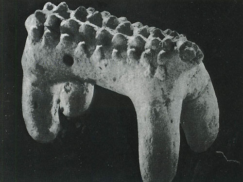 83 ������� ���������. ���������. �������� ���. ����� ��������, �����