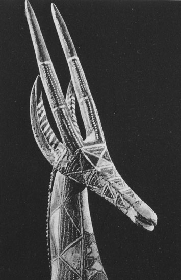 129 �����-����������. ������������ ������. ���������� �������, ������� ������. ����� ��������, �����