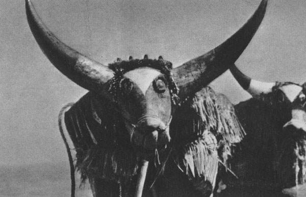 166 ������ ���� (��� ������). ������. ���������� �������, ������