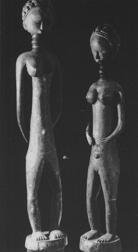 177 ��������� ��������. ������. ���������� �����, ������-�����. ��������������� �����, ʸ���