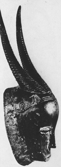 203 ����������������� ����� �������� ������. ������. ���������� ����, ����� �������� �����. ������� ���������, �����