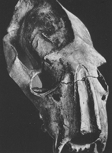 223 ����� ��������. ������. ����� �������. ����� �������������, ������