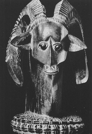 228 ������ ������. ������. ���������� ������, �������. ������� ���������, ������