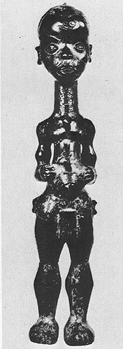 344  . .  -, .    ,  ()