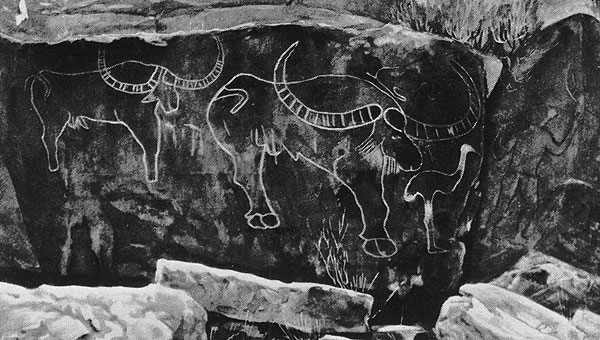 409 ������� ������ � ������ �����������. ����-���-����, ���� ����