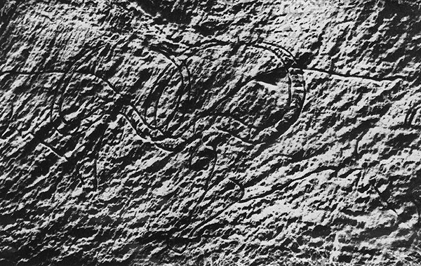 410 ��������� �������. �����, ��������� �����