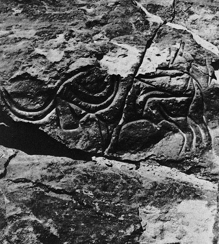 412 ������� ������. �� ��������, ������