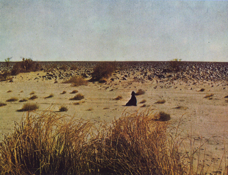 414 ������. ������