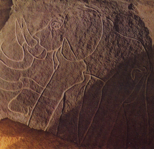 415 ����. ��� �����, ������