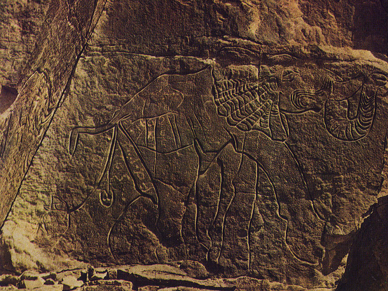 416 ����. �� ��������, ������