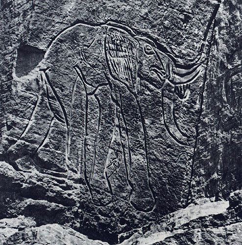 417 ����. �� ��������, ������