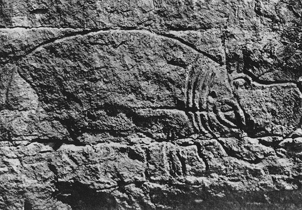 418 �������. �� ��������, ������