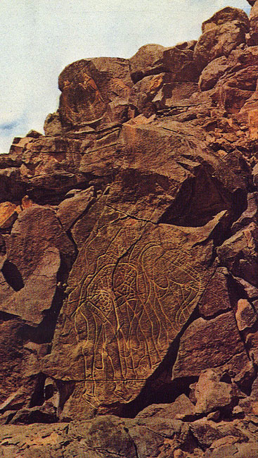 420 ��������� ������������� ���� ����� ����������� ������ � �����. �������, ������