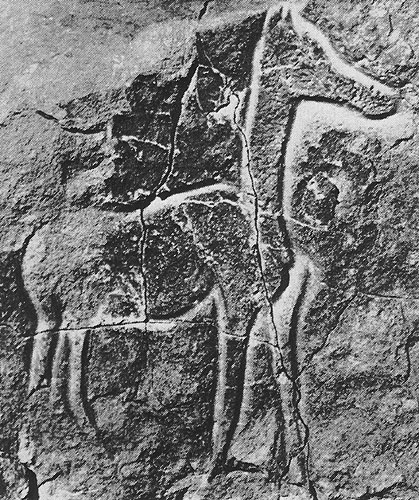 422 ����� ������ (?). �������, ������