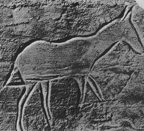 423 ����� ������ (?). ����������� ������ ������� ����������� (������� �� ������������ ����������� � ����������). �������, ������