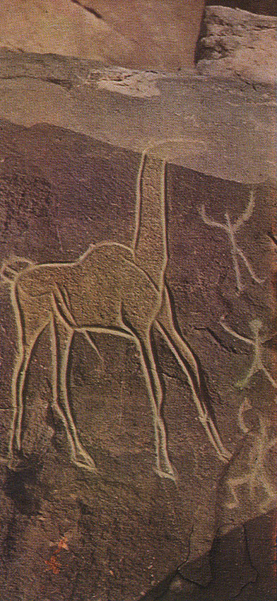 424 ������, ��� � ������������� ������������ ������. ��� �����, ������