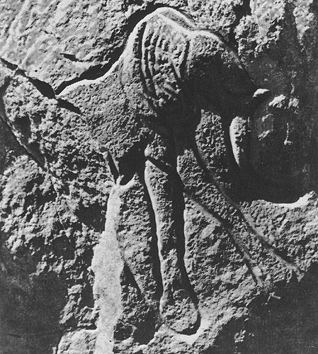 425 ����. ��������� �����������. �������, ������