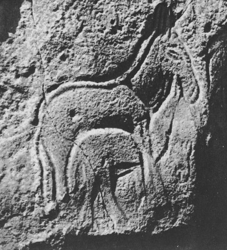 426 ����� ������ (����?). ��������� �����������. �������, ������