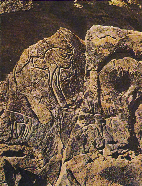 428 ������. �������, ������