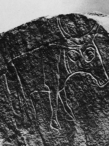 429 ���. �������, ������