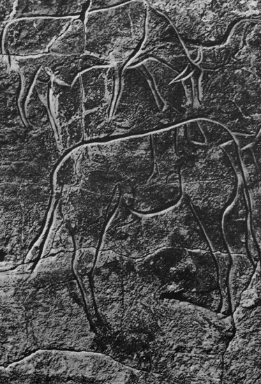 431 ��� � �������������� ��������. �������, ������