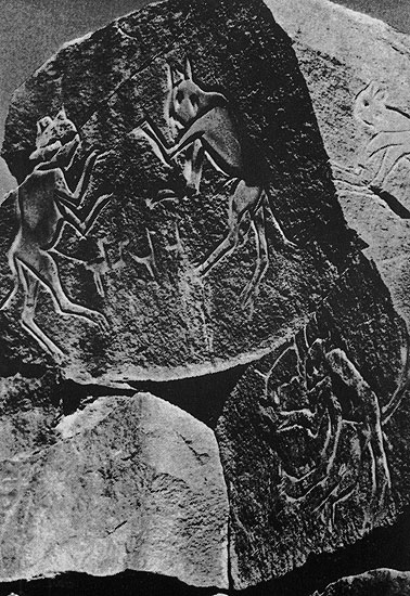 432 ������ �������� (�������?). �������, ������.