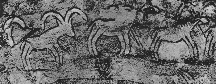 435 �������� ��������. �����, ��������-�����