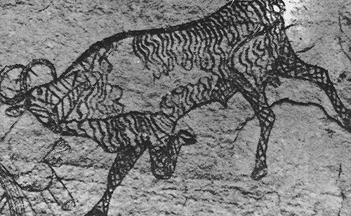 439 ���. ����������, ��������-�����