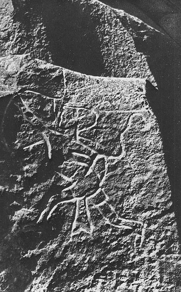 443 ������� � ����������� �������, � �����. ���������. ������