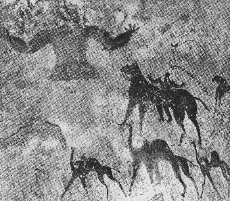 477 ������������ ����������� �������� � �������� ������. ��������. ��������-�����