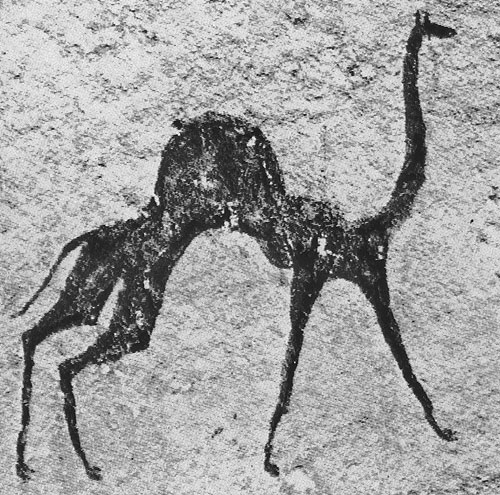 479 �������. ��������. ���-������, ��������-�����