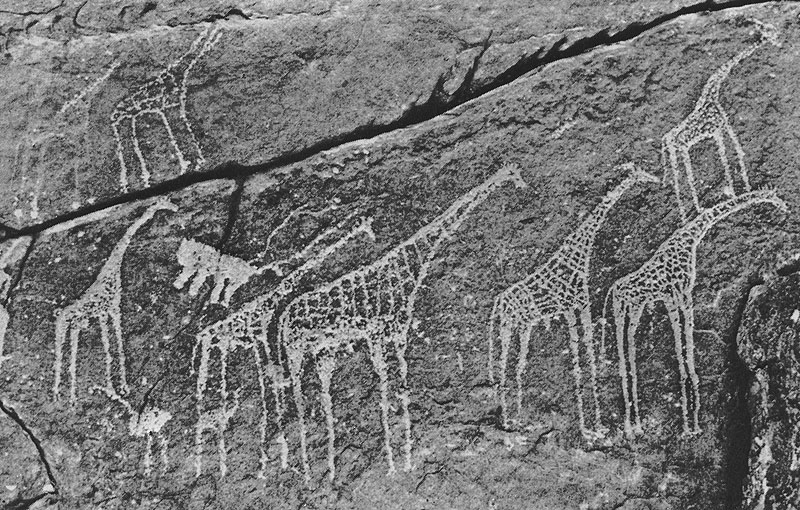 480 ������������� ����������� �����. ����������. ��� �����, ��������� ������