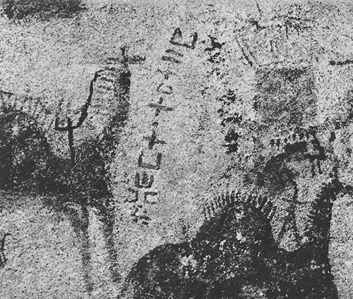 482 ����� ������������ (�������) � ����������� ���������. ��������. ���������, ��������-�����