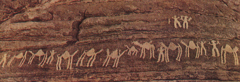 484 ������������� ����������� ����� � ���������. ����������. ��� �����, ��������� ������