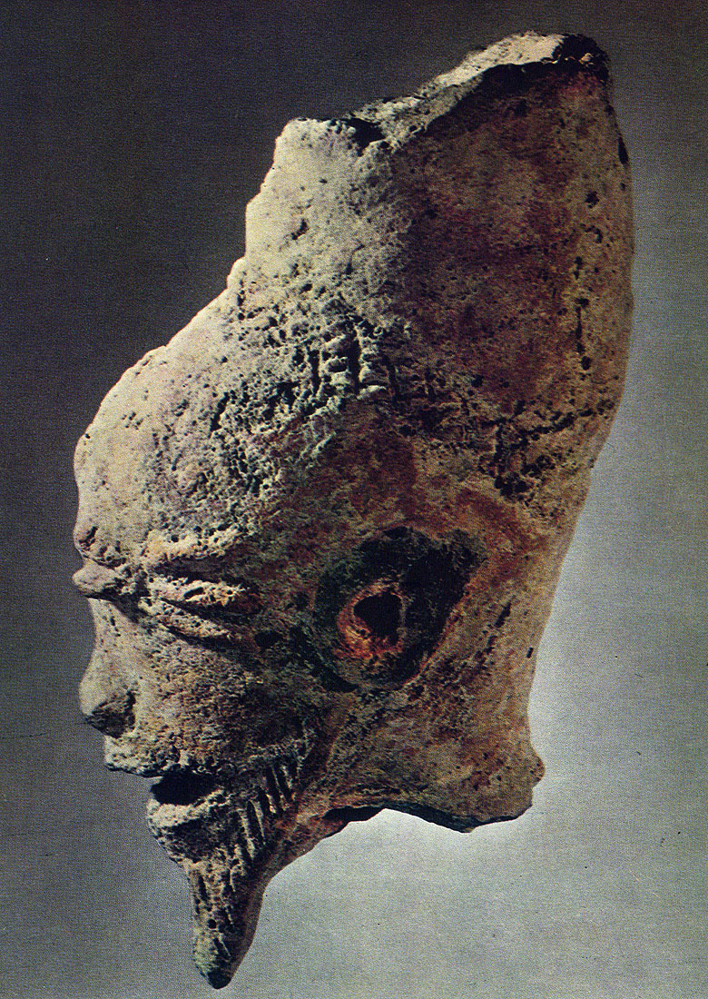 495 ������. ���������. �������� ���. ���-��, �������. �����������-������������ �����, ��������